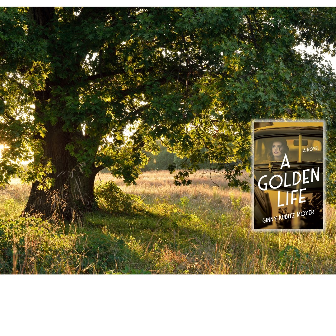 Ginny Kubitz Moyer